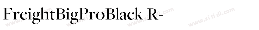 FreightBigProBlack R字体转换